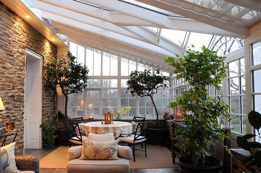 indoor plants for cool home